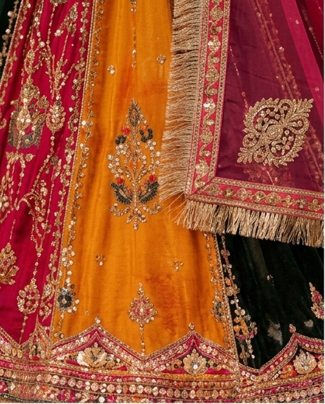 Padmini Royal Poshak view 3