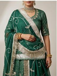 Emerald Zari Drape Poshak view 3