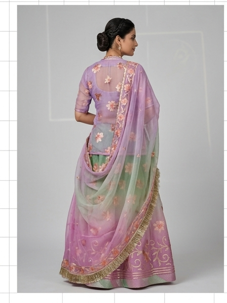 Lavender Mint Organza Poshak view 3