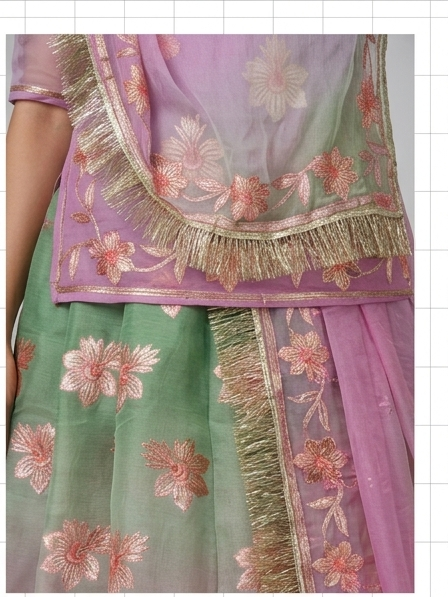 Lavender Mint Organza Poshak view 2